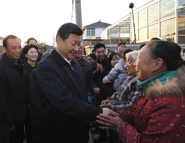 习近平“三农”金句