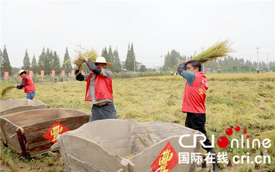 （原创 本网专稿 三吴大地镇江 移动版）镇江句容首届农民丰收节开幕：精彩活动人气高（条目标题是：）镇江句容首届农民丰收节开幕