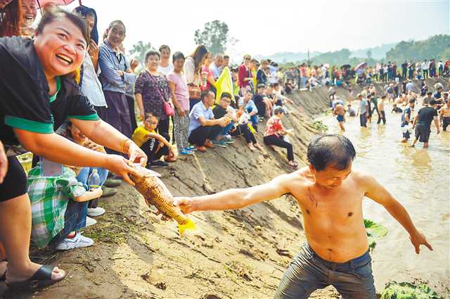 【聚焦重庆】丰收喜悦洋溢巴渝大地