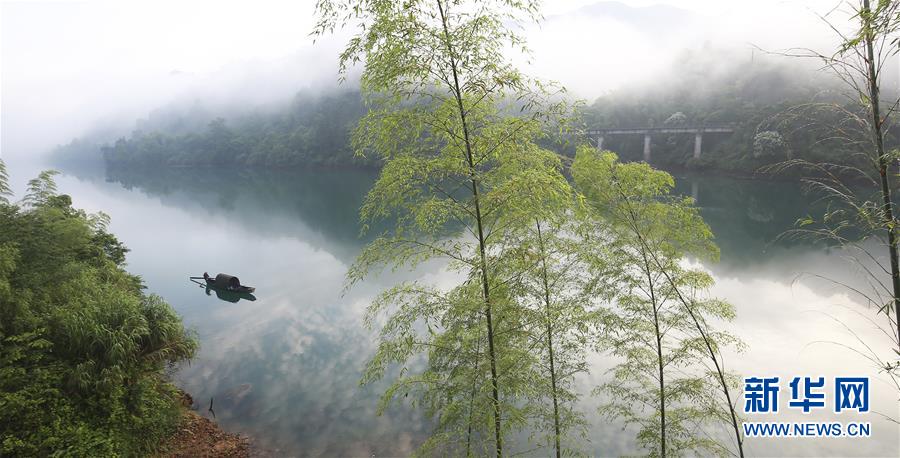 水墨画卷东江湖