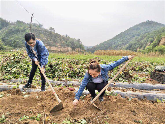 “享丰收之喜 体劳作之乐” 延安甘谷驿镇举行主题党日活动