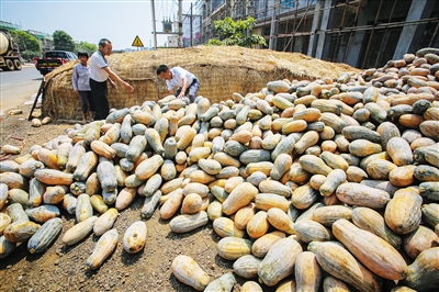 末尾有图【食品农业图文列表】【即时快讯】红光草畜园区加快建设