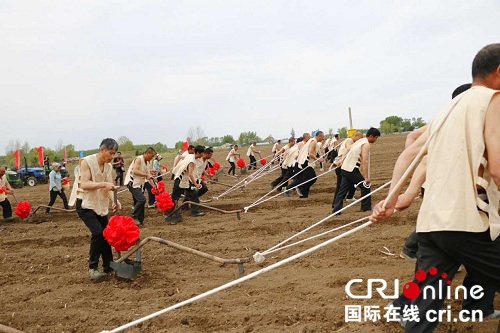 【龙江发布】铁力首届农耕文化节盛大启幕