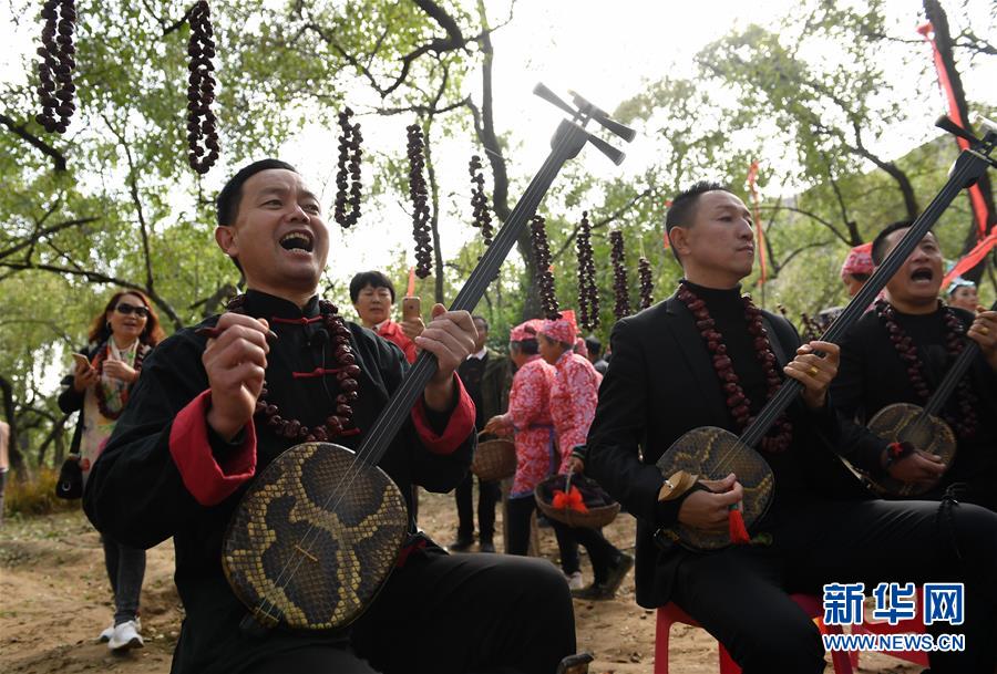 陕西佳县：红枣种出红火新生活