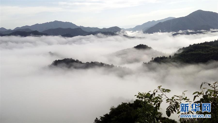 雨后云海如画