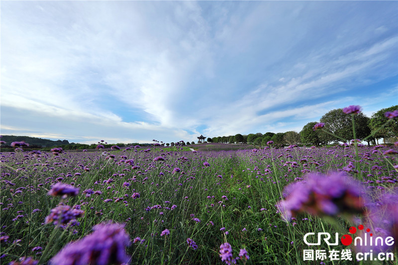 【CRI专稿 列表】重庆梁平各大景区国庆添新景、送福利