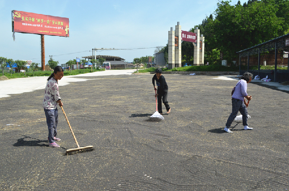 【区县联动】【潼南】潼南崇龛3.5万亩油菜喜获丰收 产值达2730万以上【区县联动】潼南区崇龛镇3.5万亩油菜喜获丰收