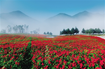 【行游巴渝标题摘要】奉节巫山巫溪一体化建设 打造长江三峡旅游金三角