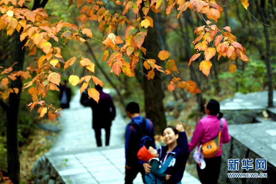 河北石家庄：秋染太行