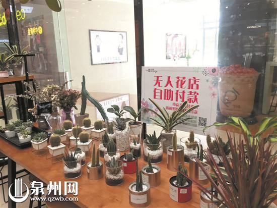 泉州首家无人花店 开业百日一盆未丢