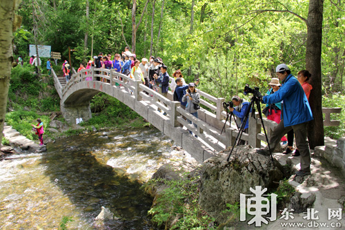 【龙游天下】六一邂逅端午 旅游专列驶进威虎山