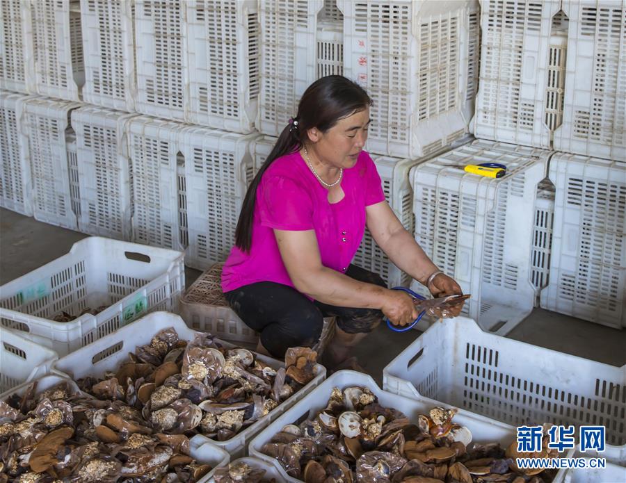 江苏海安：生态种植富农家