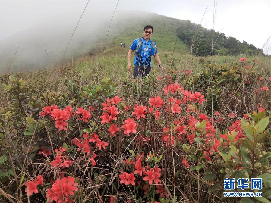 清幽寻胜 道外虑恬——那些年，我们一起走过的香港行山径