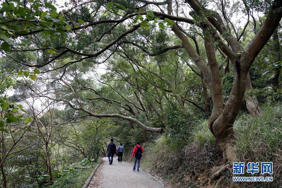 清幽寻胜 道外虑恬——那些年，我们一起走过的香港行山径