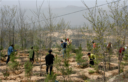 精神文明建设绘就陕西子长美好发展图景