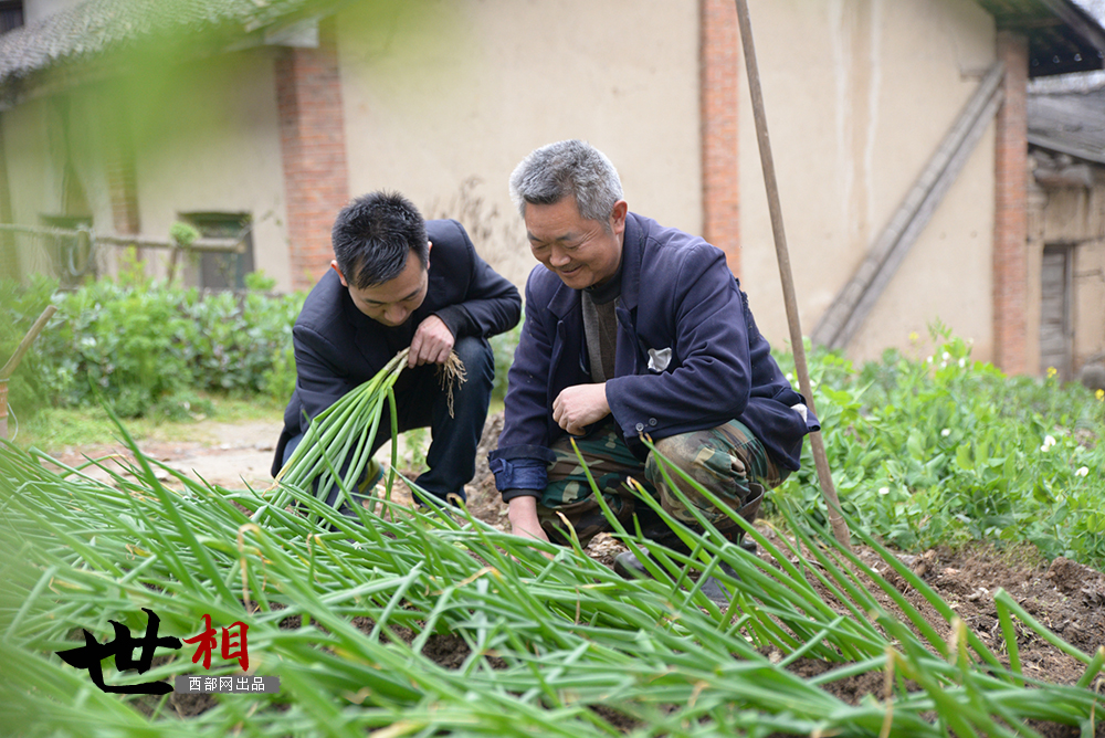 石泉县城里的“县太爷”