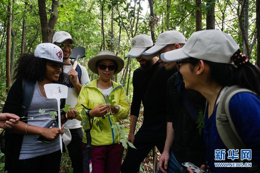 江苏南京：“洋学生”进深山识百草