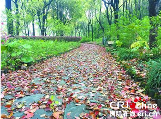 【专题专稿】 【区县新闻】上海：新江湾城街道“生态之城”建设成绩斐然