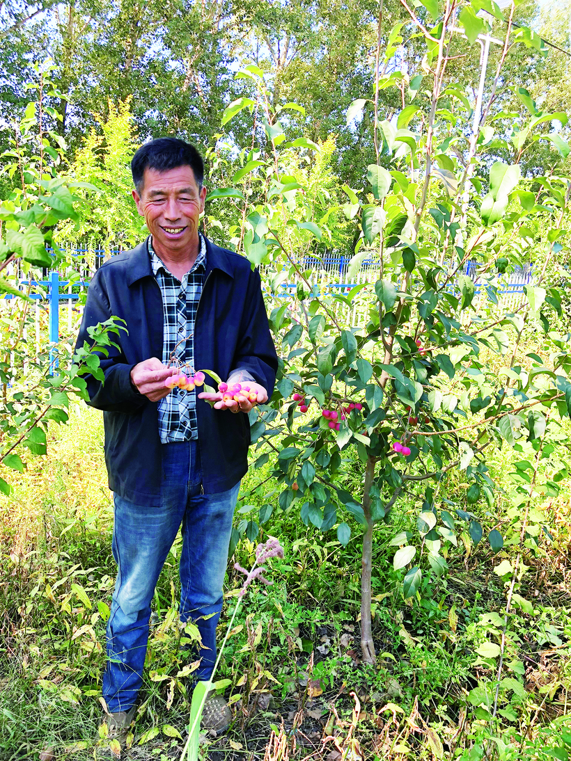 红果“点亮”双阳区太平镇小石村