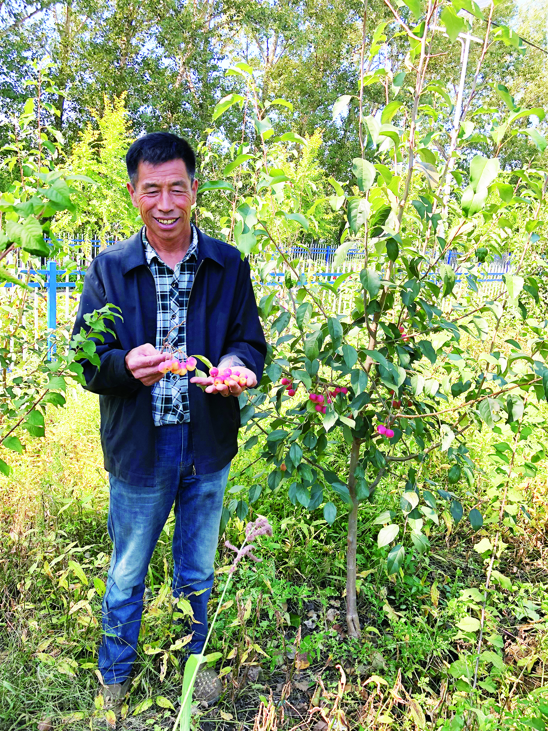 红果“点亮”双阳区太平镇小石村