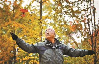 北京年内启动建设19处城市森林