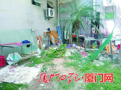 厦门区领导、机关组织实地巡检 湖里区市容管理经验值得称赞