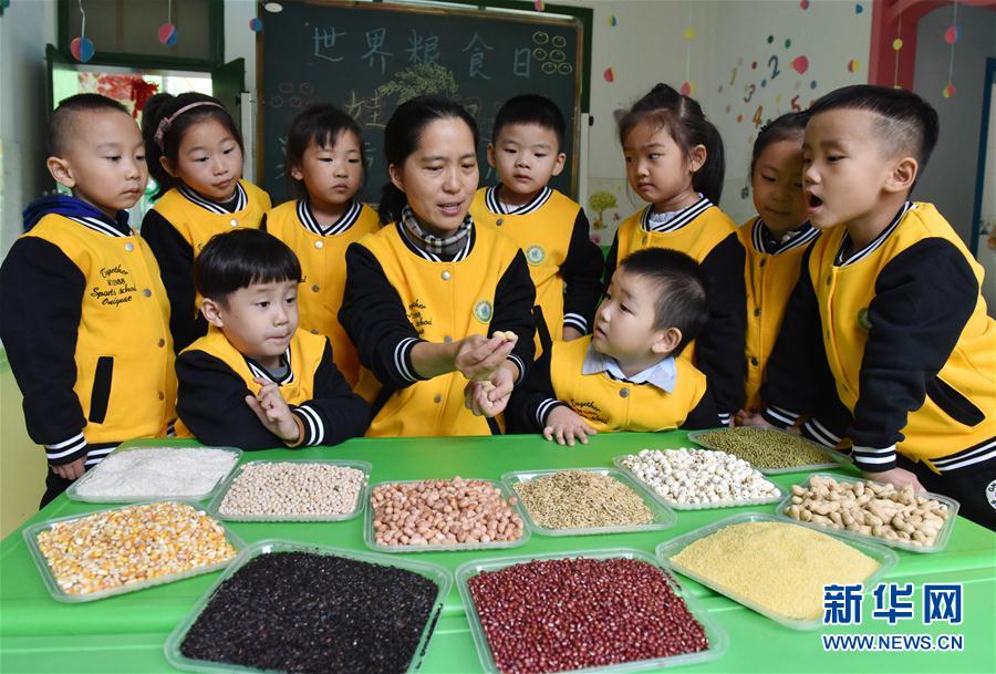 安徽：学农识 惜粮食