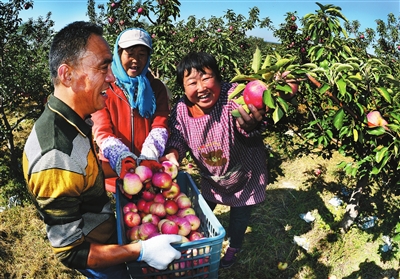 沈北新区十大采摘基地助农增收