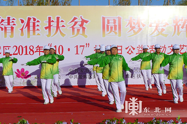 黑河市爱辉区多部门联合开展“全国扶贫日”宣传活动