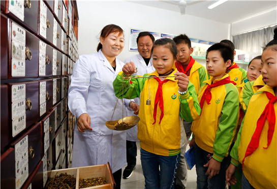 迎接“世界传统医药日”   陕西渭南小学生到医馆学中医