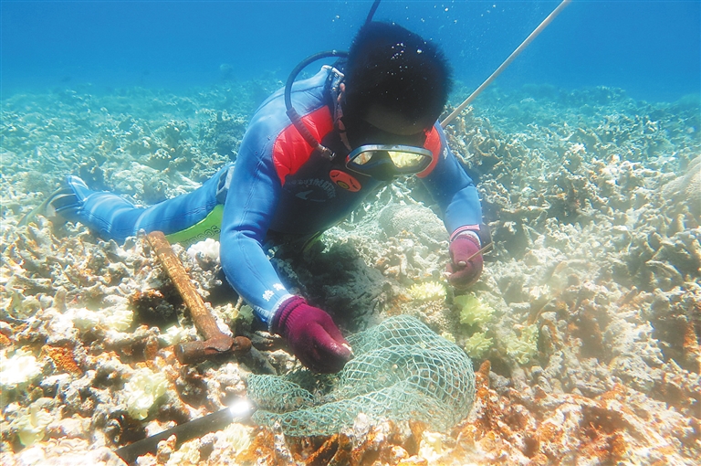 【头条文字列表】【即时快讯】海南推动海洋牧场建设 给海洋生物安家