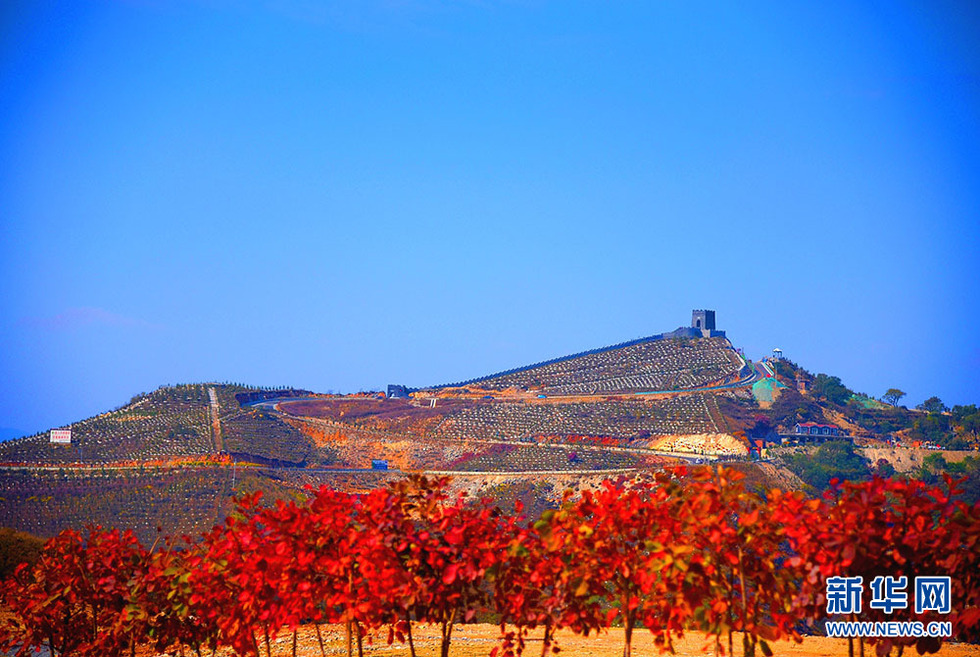 河北涉县：庄子岭遍山红叶迎游客