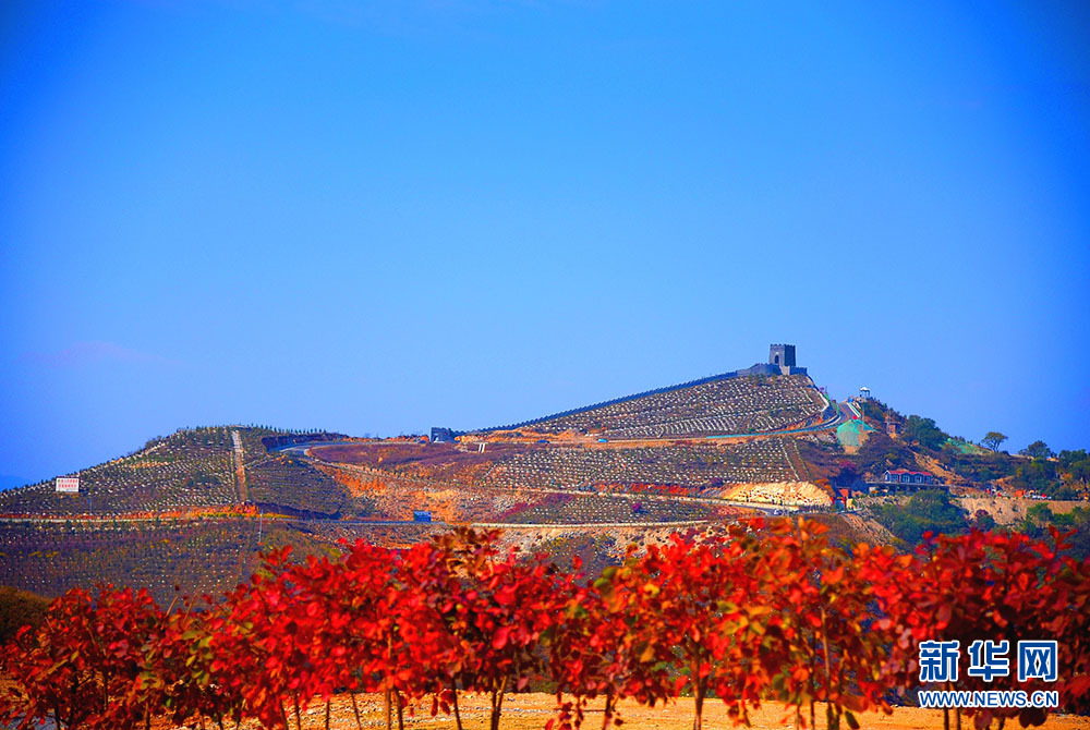 河北涉县：庄子岭遍山红叶迎游客