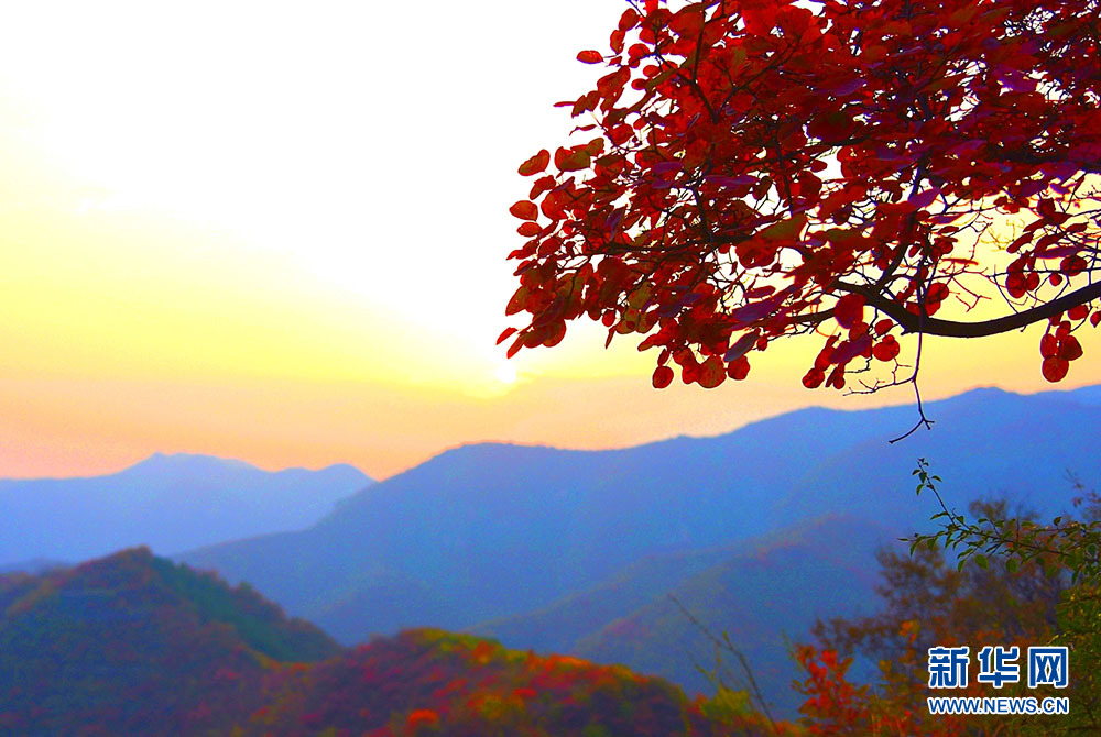 河北涉县：庄子岭遍山红叶迎游客