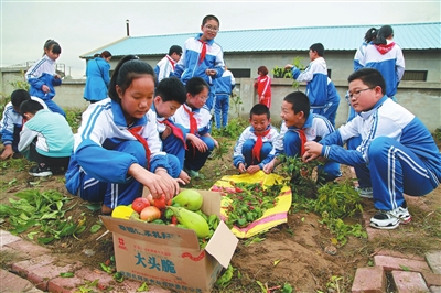 铁岭县蔡牛镇中心小学的开心农场迎来秋收