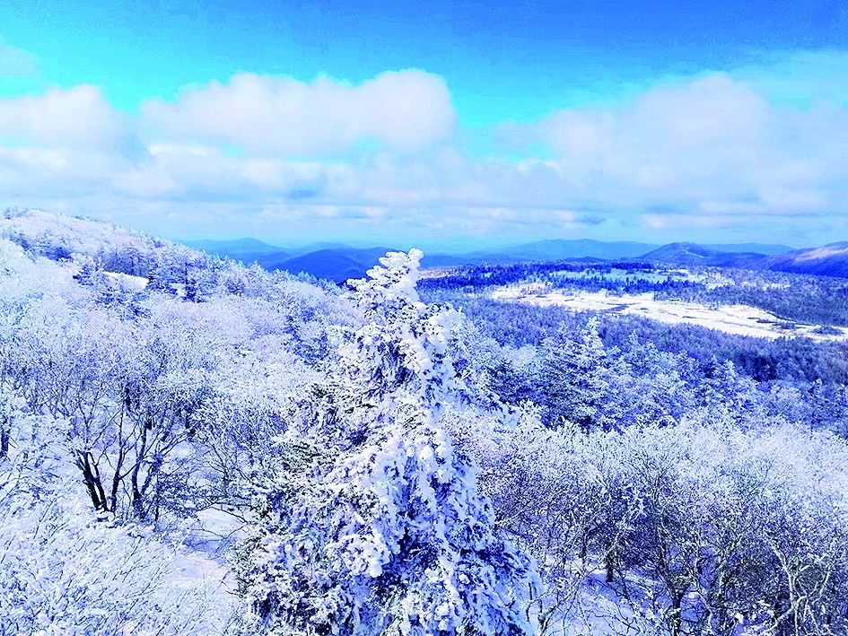 五常市凤凰山雾凇、雪淞蔓延似仙境