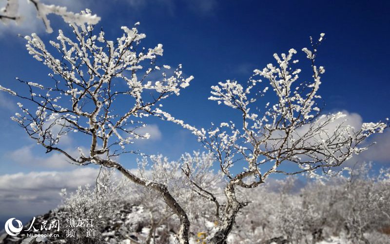 黑龙江凤凰山国家森林公园现十里雪凇雾凇景观