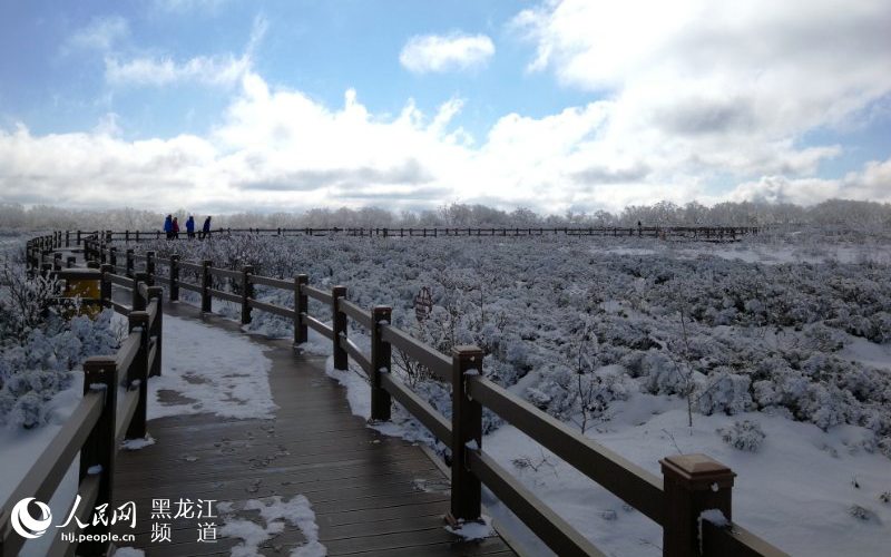 黑龙江凤凰山国家森林公园现十里雪凇雾凇景观