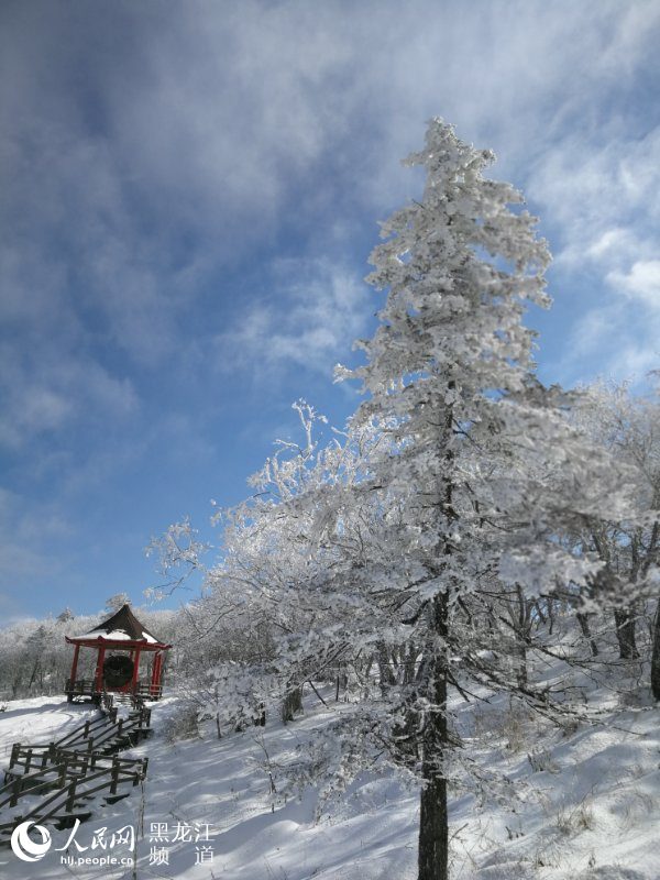 黑龙江凤凰山国家森林公园现十里雪凇雾凇景观