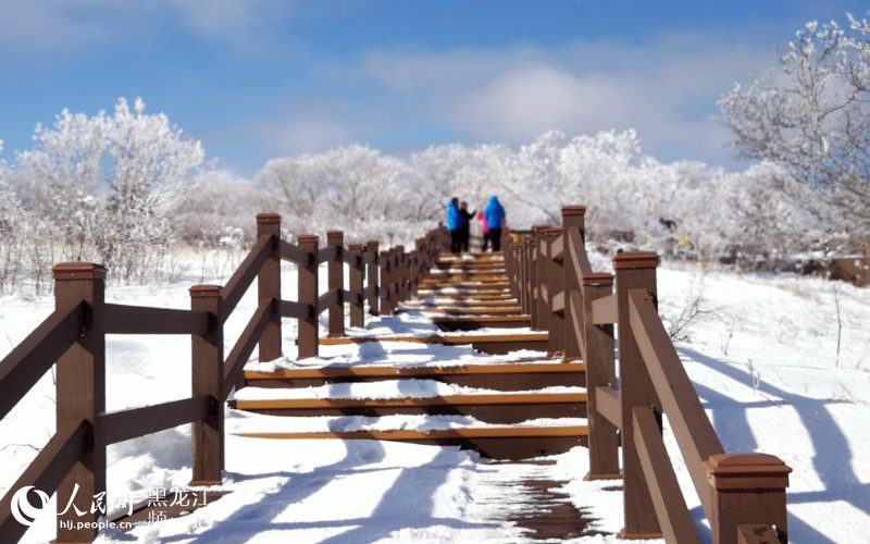 黑龙江凤凰山国家森林公园现十里雪凇雾凇景观