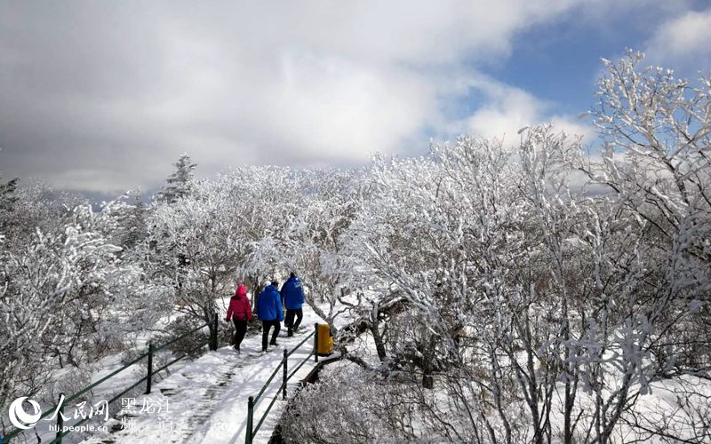 黑龙江凤凰山国家森林公园现十里雪凇雾凇景观