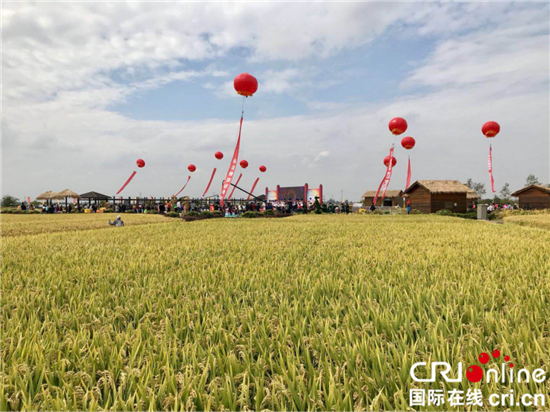 （供稿 三农列表 三吴大地南京 移动版）南京江宁湖熟“稻·花”节盛大启幕