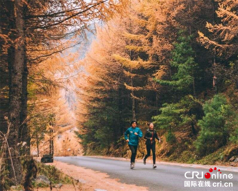 神农架森林国际越野跑在红坪镇鸣枪开赛