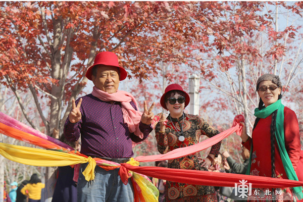 深秋落叶美 哈工程等校园成秋游网红地