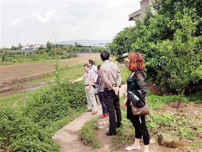 【区县联动】【璧山】璧山八塘镇人大代表要求生态创建不回潮【区县联动】八塘镇人大代表要求生态创建不回潮