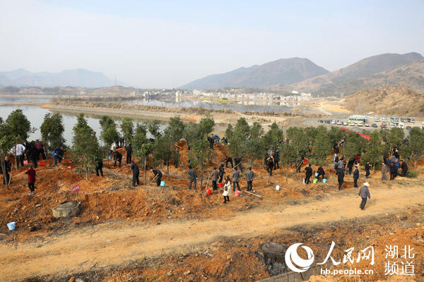 通山县精准灭荒位列湖北省县域第一