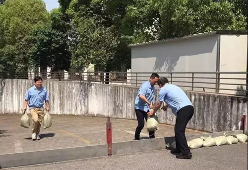 【区县新闻】宝山区组织应急演练 指导基层防汛能力建设