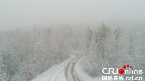 【黑龙江】【供稿】霜降节气漠河市迎来秋后最大一场降雪