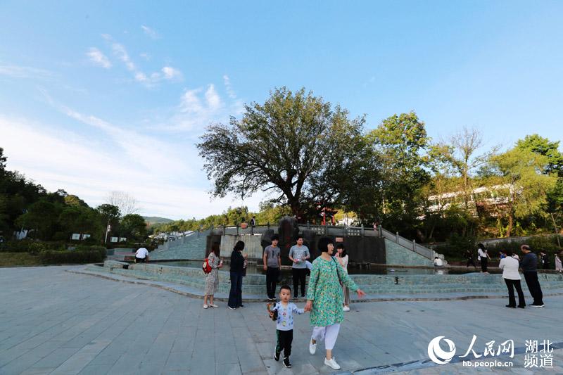 湖北竹山：生态龙井 如画新村