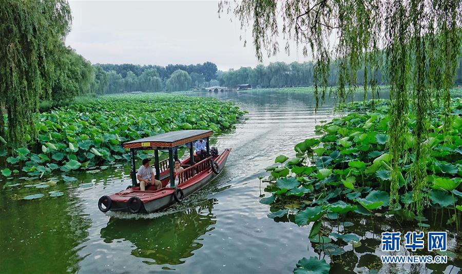 北京：赏荷圆明园